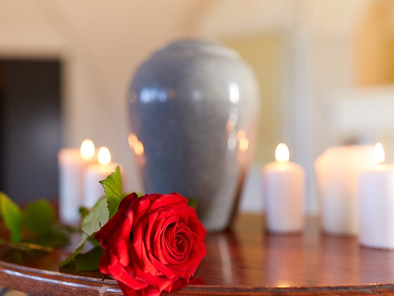 Single rose with candles
